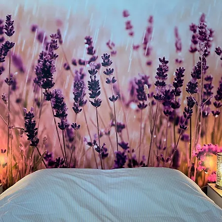 Culinaire La Mouline - Adults Only 4* Belveze