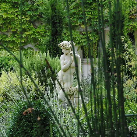 Culinaire La Mouline - Adults Only
